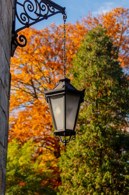 Wandlantaarn en virginia klimplant op straat in de herfst