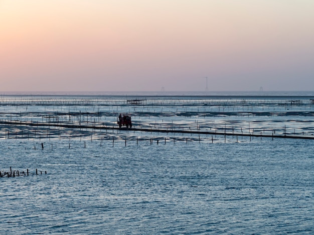 사진 wanggongchanghua county 대만 wanggong intertidal zone 외관