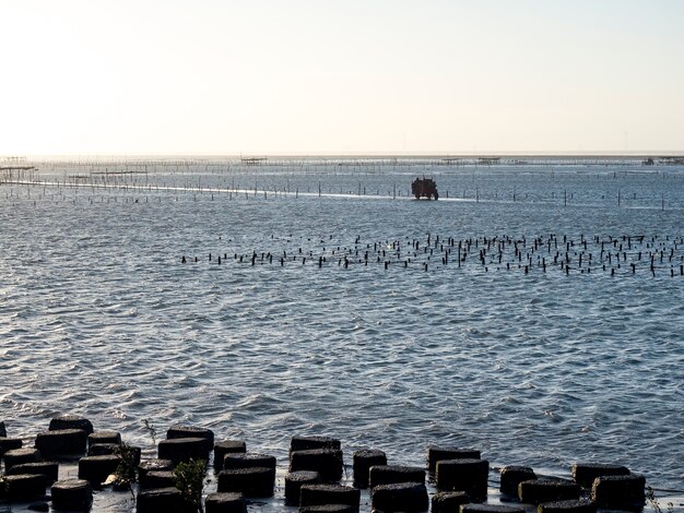 Wanggong Intertidal Zone facade in WanggongChanghua County Taiwan