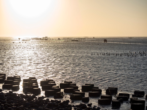 Wanggong Intertidal Zone facade in WanggongChanghua County Taiwan