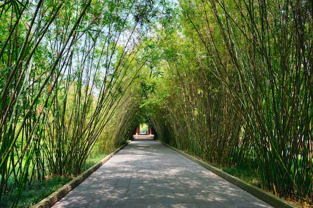 Wangjianglou-park. Chengdu, Sichuan, China