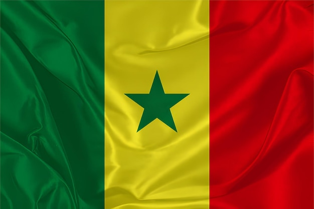 Wapperende zijden vlag van Senegal