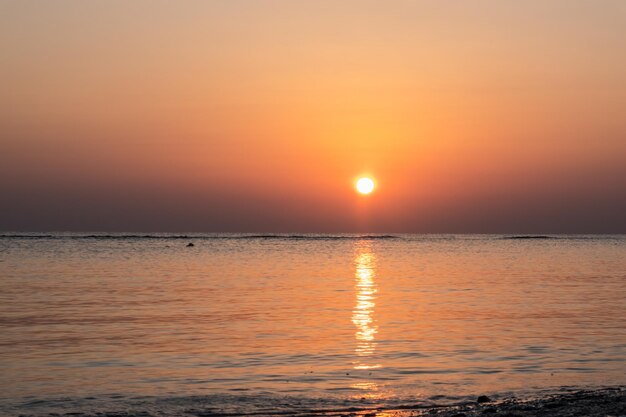 Photo warm bright shining sun at the red sea with reflections in the water during sunrise