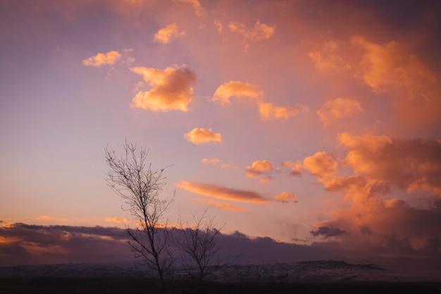 夕焼けの空に暖かい雲