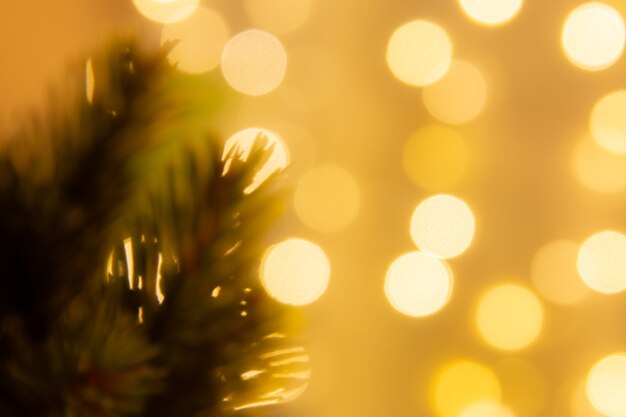 warm color background Bokeh background with pine trees for Christmas decorations