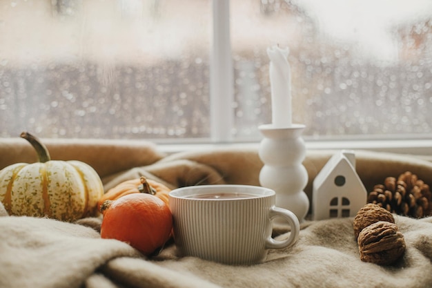Фото Теплая чашка чая, свечи, тыквы на уютном одеяле у окна с каплями дождя, капризная осень