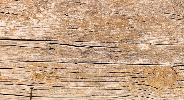 Warm old wood texture or background to be used as a copy space