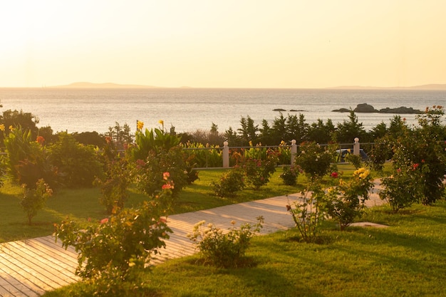 Warm summer sunset at the seashore