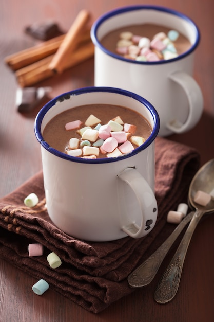 Warme chocolademelk met mini marshmallows kaneel winterdrank