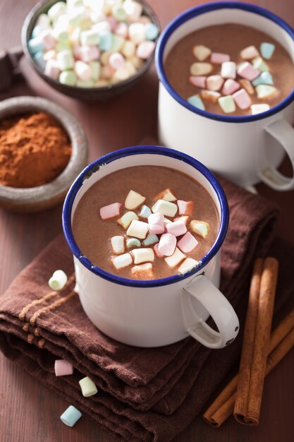 Warme chocolademelk met mini marshmallows kaneel winterdrank