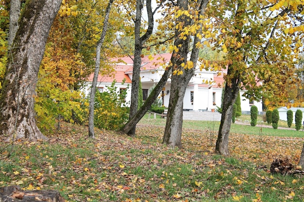 Warme herfstavond in het stadspark