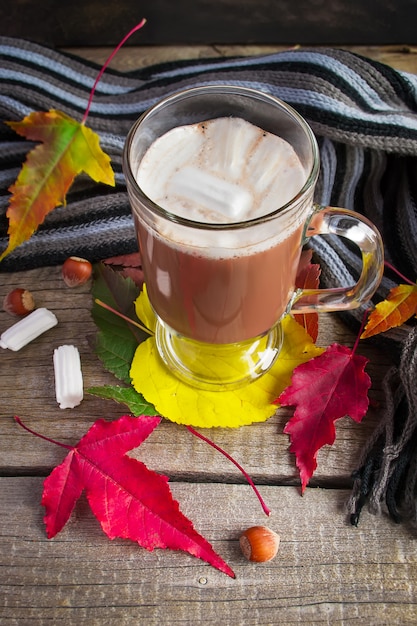 Warming of cocoa with marshmallows, scarf and autumn leaves.