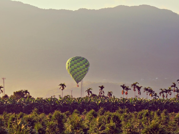Warmluchtballon vliegt over bomen tegen de berg