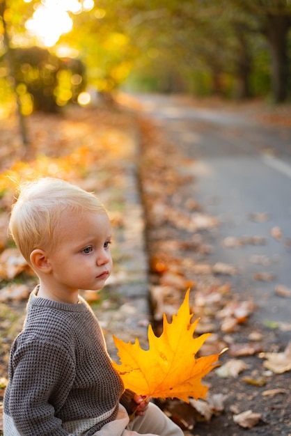 Warmth and coziness. Happy childhood. Sweet childhood memories. Child autumn leaves background. Warm moments of autumn. Toddler boy blue eyes enjoy autumn. Small baby toddler on sunny autumn day