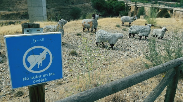 Warning sign against sculptures on field