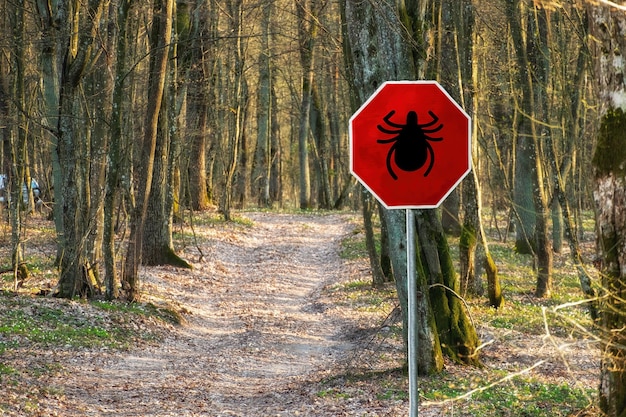 Photo warning sign beware of ticks in the spring forest infested area transmitter lyme disease and tickborne meningitis meningoencephalitis