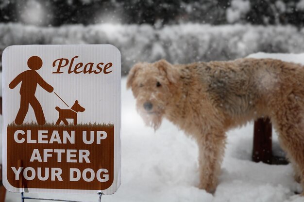 the warning sign clean up after your dog