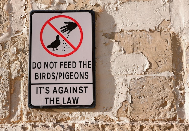 Photo warning sign saying do not feed the birdspigeons placed on the aged sand stone wall illustrated caution signpost explains rules on the streets of valletta malta