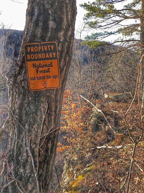 Foto segnale di avvertimento sul tronco dell'albero