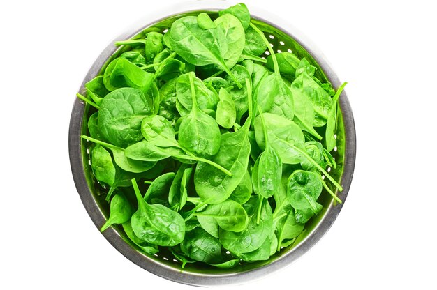 Washed fresh mini spinach in a colander on white background