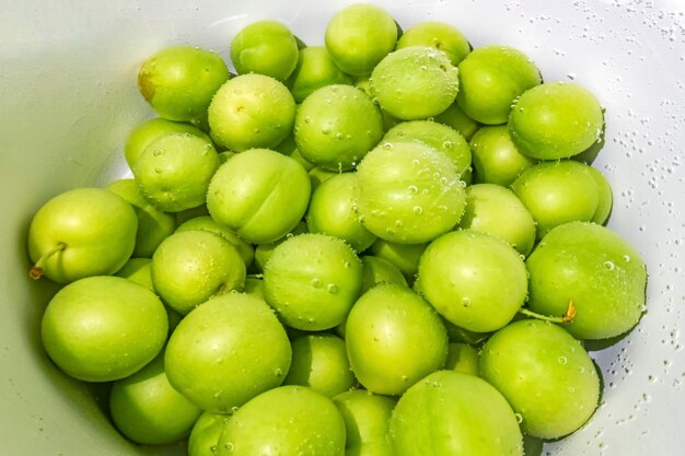 washed green plums in water