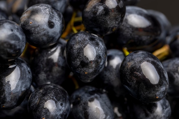 промытый спелый черный виноград, покрытый каплями воды, собранный темный виноград с каплями воды