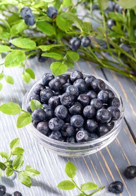 Washed wild blueberries in glass bowl and green branches with berries on grey wooden table