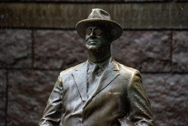 WASHINGTON DC, VS - MAI 17 2018 - Roosevelt gedenkbeeld onder de regen in DC