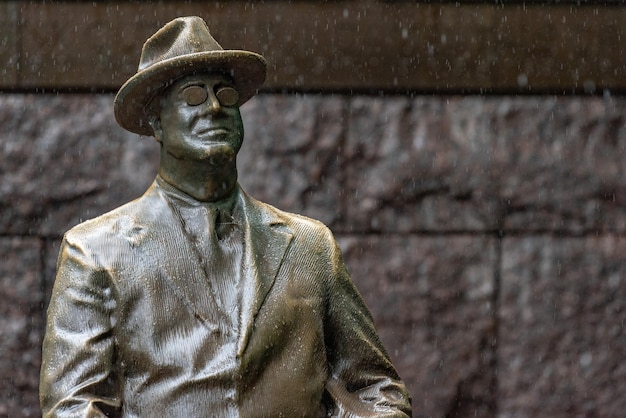 WASHINGTON DC, VS - MAI 17 2018 - Roosevelt gedenkbeeld onder de regen in DC