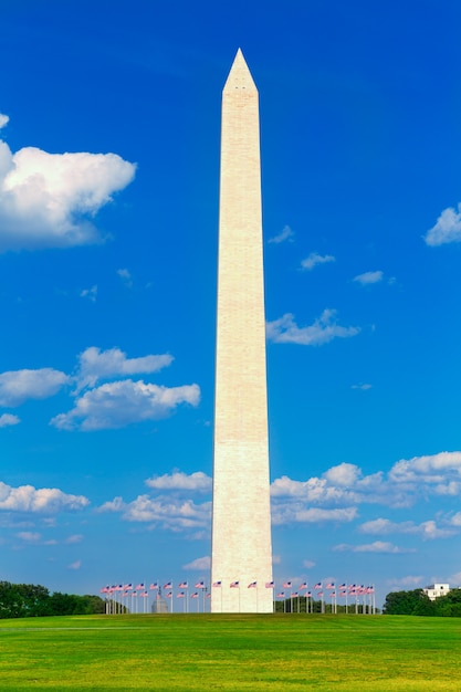 Photo washington monument and flags in dc usa