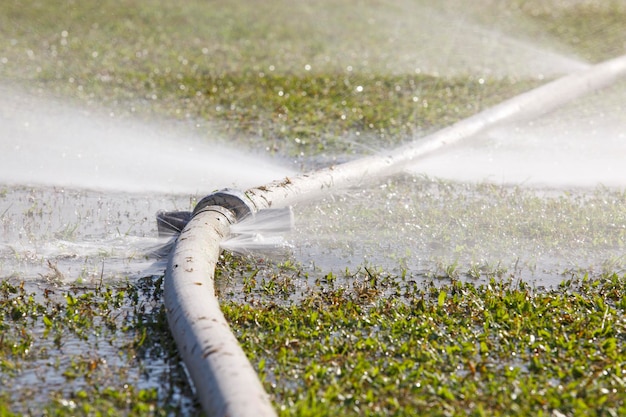 水を無駄にする-ホースの穴から水が漏れている