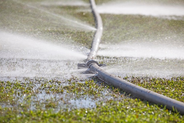 Wasting water water leaking from hole in a hose