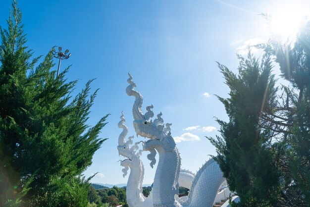 Photo wat huay pla kang in chiang rai thailand