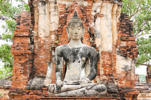 Wat Mahathat in Ayutthaya Historical Park, Thailand. 