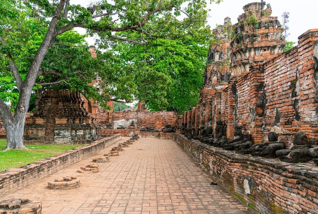 Tempio wat mahathat nel distretto del parco storico di sukhothai, un sito patrimonio dell'umanità dell'unesco ad ayutthaya, in thailandia