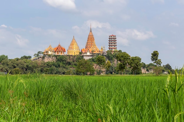 Photo wat tham suea in the province of kanchanaburi thailand