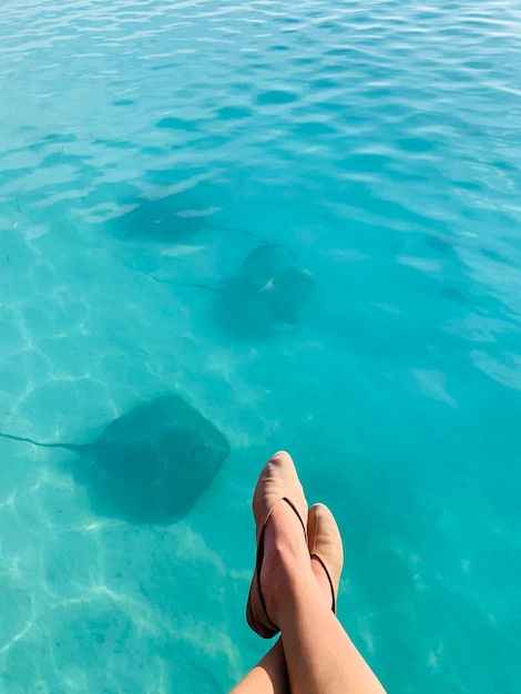 Watching the sting rays