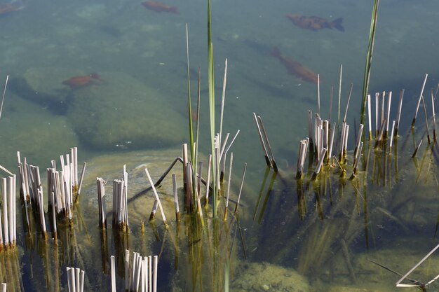 Foto water achtergrond textuur