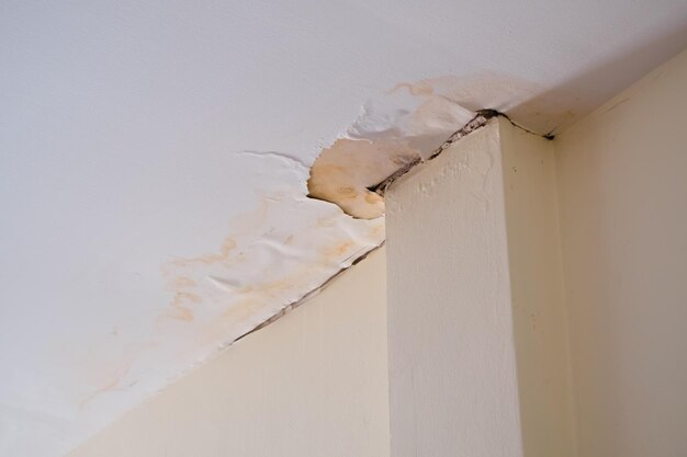 Water beschadigd plafond dak bruine vlek kantoorgebouw
