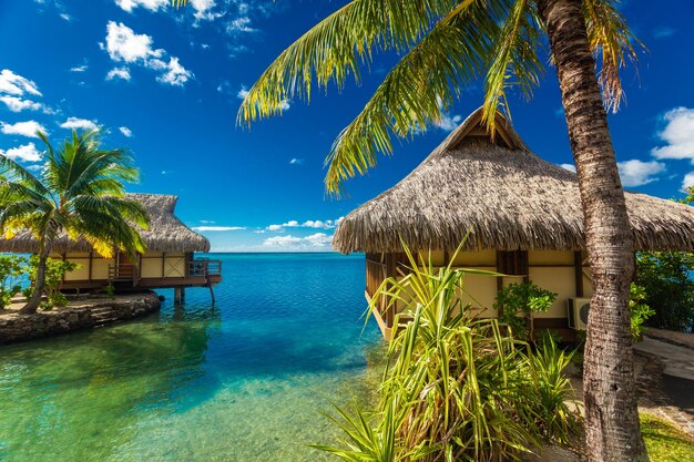 Over water bungalows and amazing green lagoon moorea french polynesia