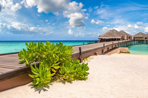 Water Bungalows at tropical island in the Maldives