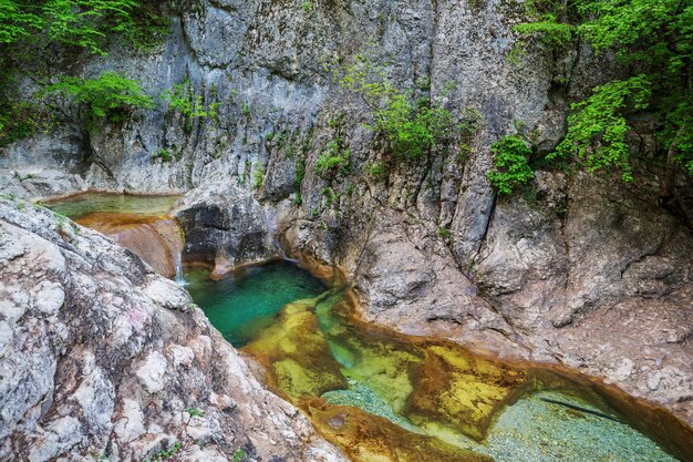 Водный каскад в зеленом весеннем лесу.