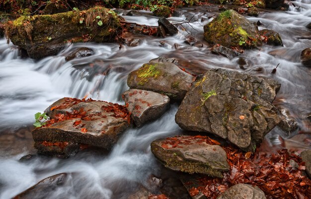 Foto cascata d'acqua