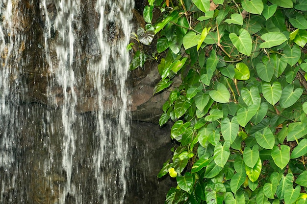 Каскад воды