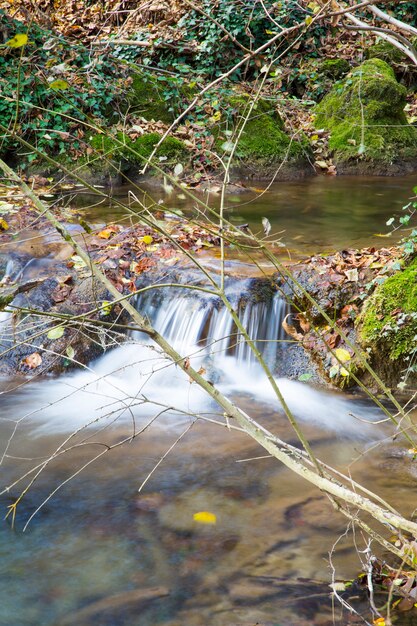 Water cascade