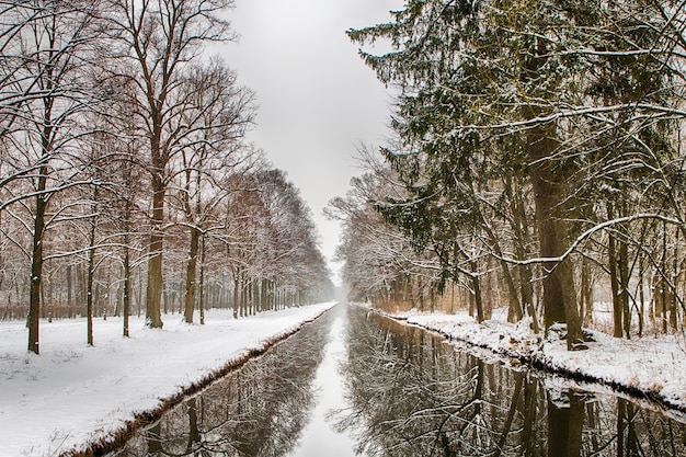 Canale d'acqua attraverso la foresta nevosa