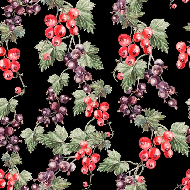 Water color pattern with berries red and black currant