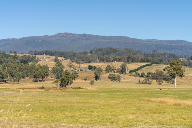 Water dam on a farm in a field surrounded by trees and green grass on a farming landscape