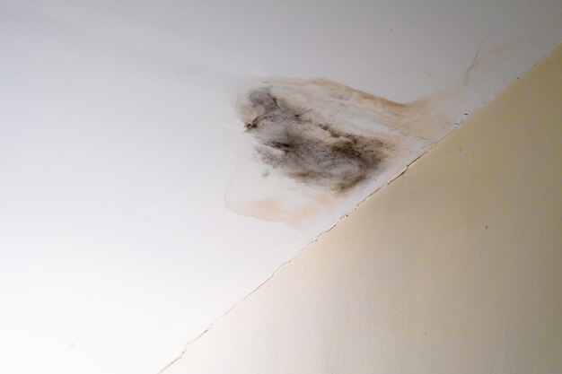 water damaged ceiling roof brown stain office building
