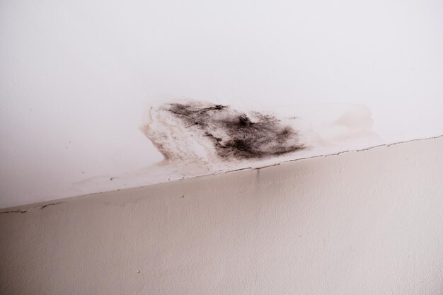 water damaged ceiling roof brown stain in office buildingxa